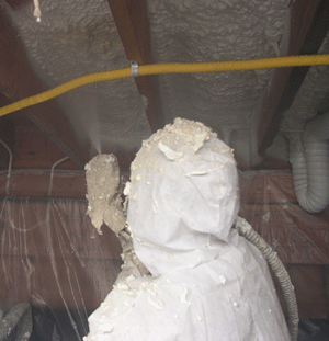 Ann Arbor MI crawl space insulation